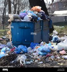 Best Yard Waste Removal  in Monroeville, IN